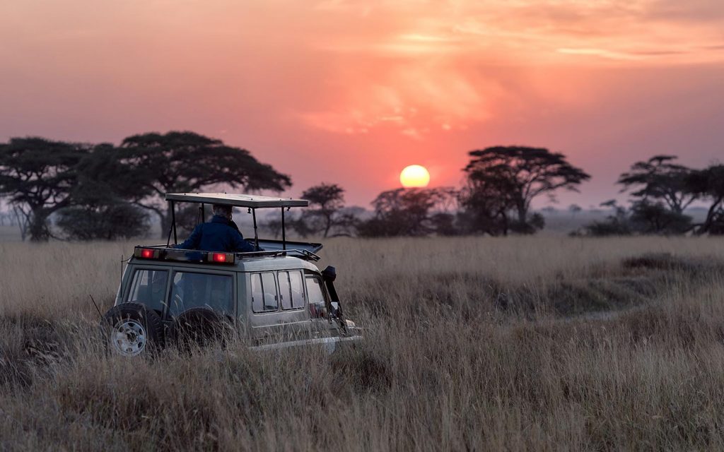 Night Game Drives In Uganda