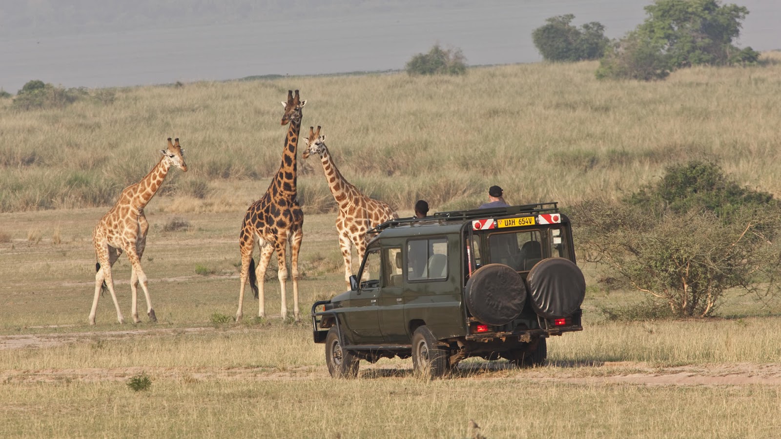 How Much Does An African Safari Cost?