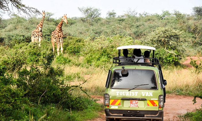 Useful Money Tips When On Safari In Uganda
