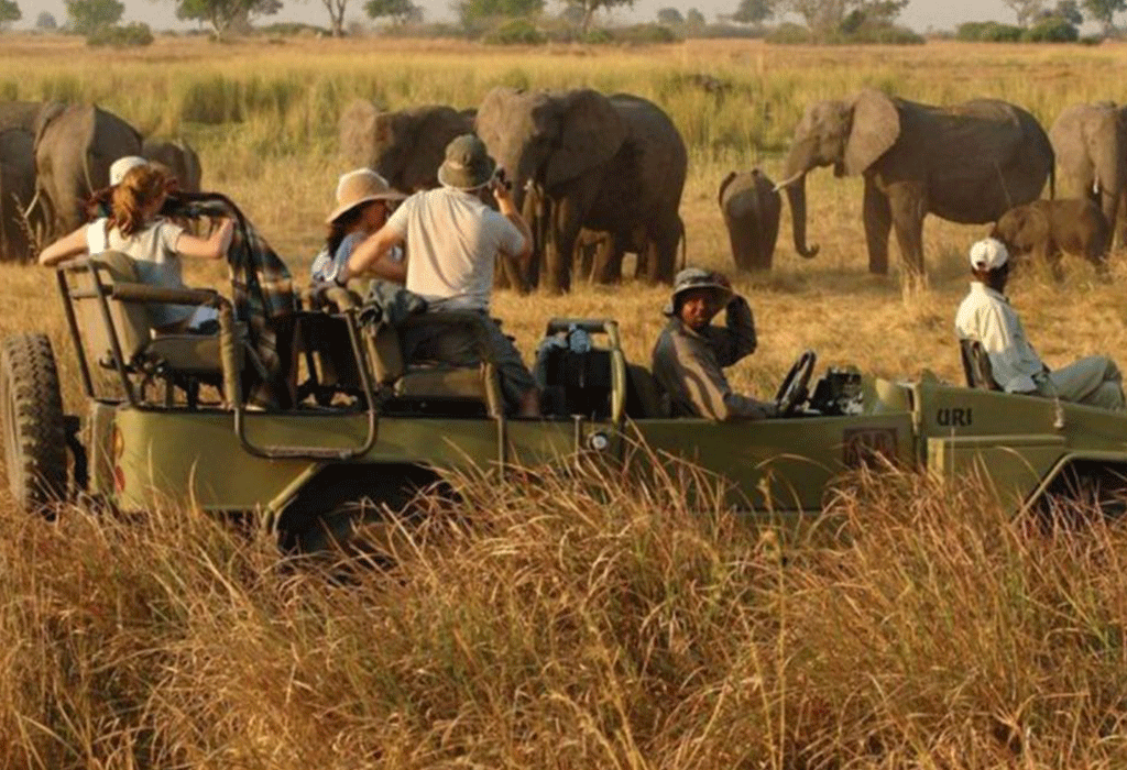 Top Tourist Attractions & Safari Activities In Kidepo Valley