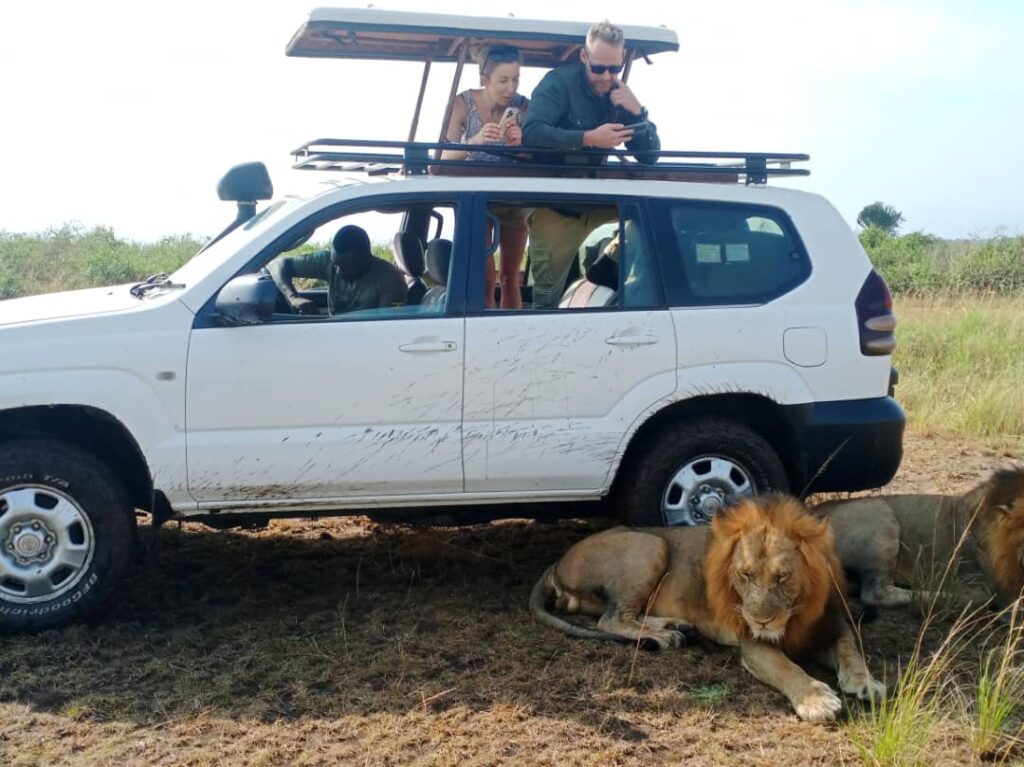 Uganda safari with a driver