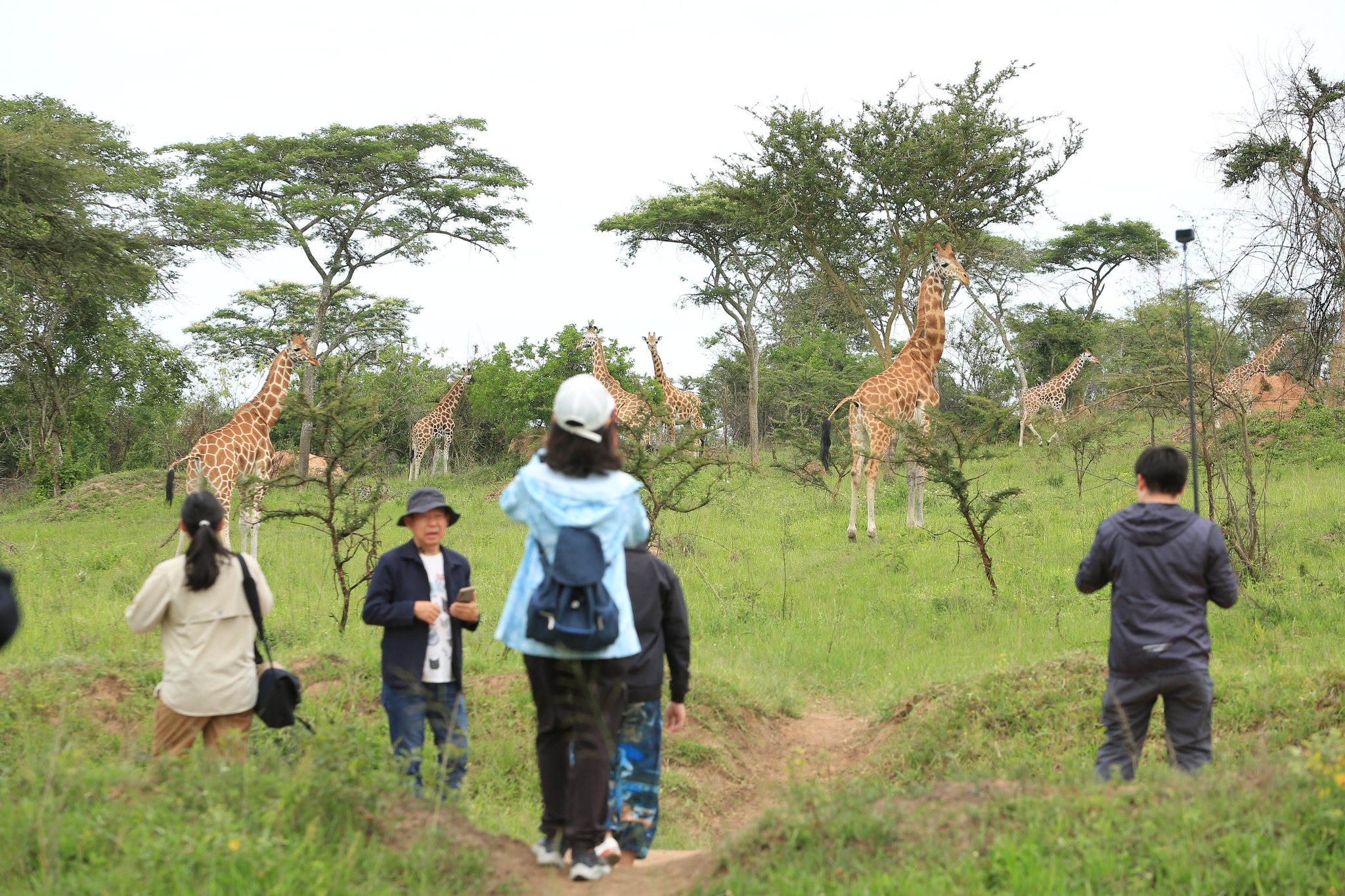 All You Need To Know About Lake Mburo Park Walking Safaris