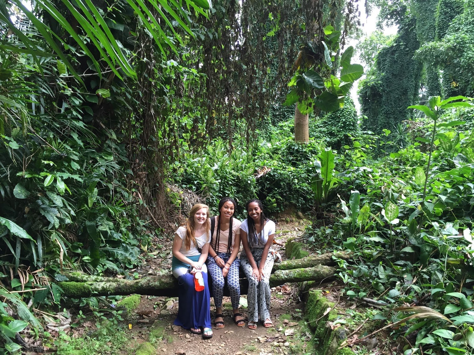 Entebbe gardens