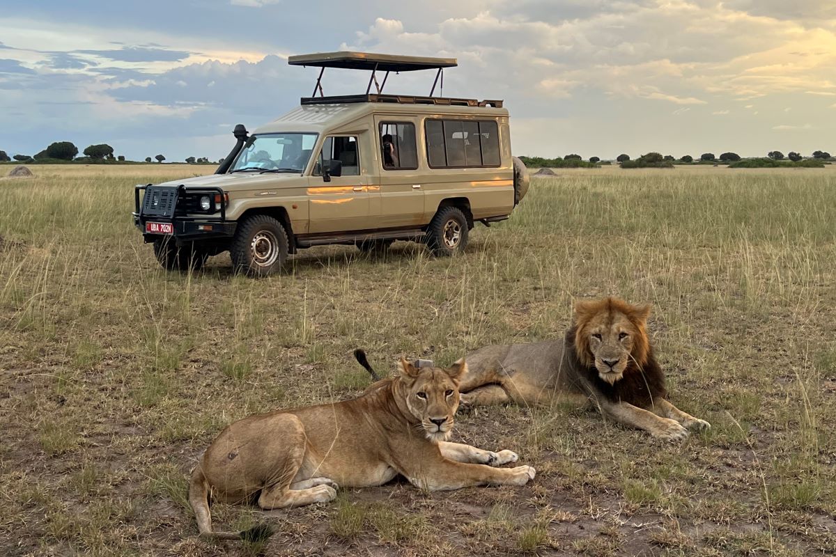 Best Time For Uganda Wildlife Safari: Month-by-Month Guide