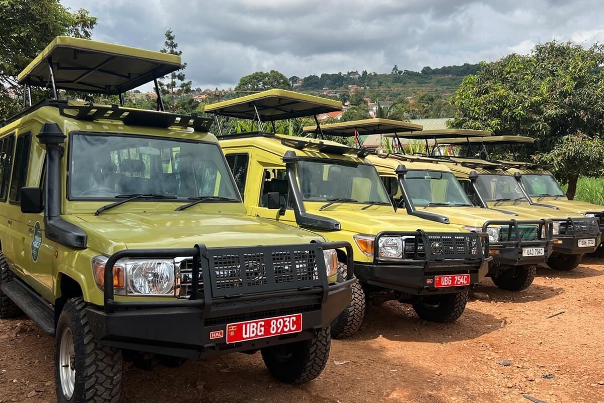 Safari land cruisers for tours