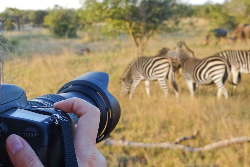 Uganda Tourist Destinations To Visit