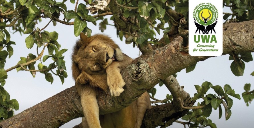 Uganda wildlife authority