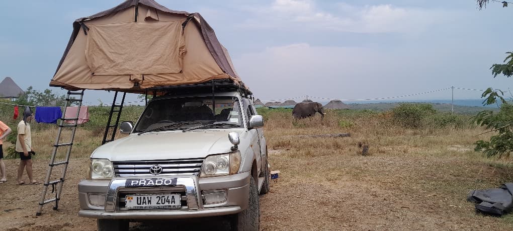 Rooftop Tent Land Cruiser For Hire In Uganda