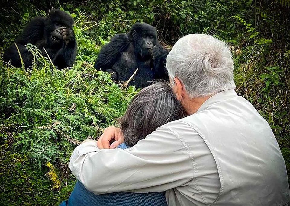 Uganda Vs Rwanda Gorilla Trekking: Which Should You Choose?