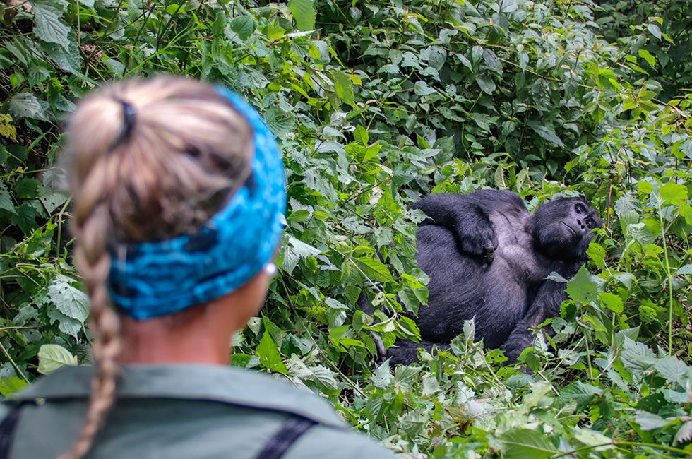 Gorilla trekking age limit