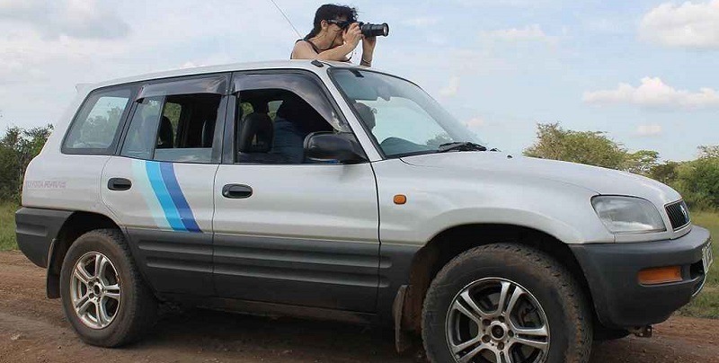Uganda Safari On A Budget: How To Cut Costs?