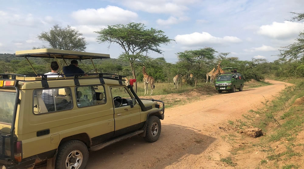 Game Drive Lake Mburo