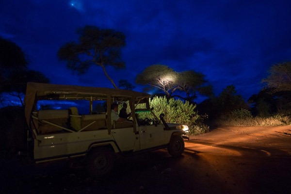 Uganda Night Safaris - Game Drive
