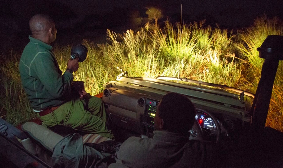 night-safaris-uganda - Mumwe Safaris Uganda Uganda night safaris in the park