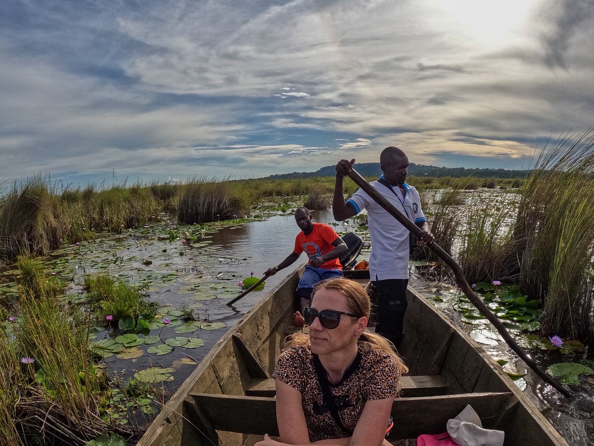 mabamba-swamp-safari - Mumwe Safaris Uganda bird photography in uganda