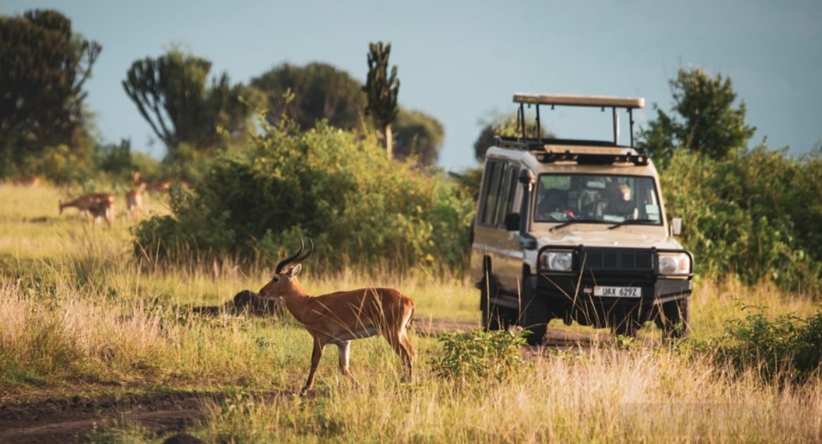 self drive camping safari