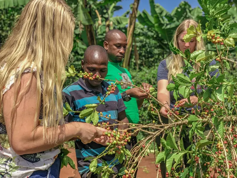 sipi-falls-trip - Mumwe Safaris Uganda sipi falls trip